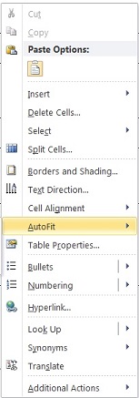 002 Right Click and Select AutoFit - AutoFit to Window